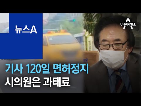 기사 120일 면허정지…‘버스차선 출근’ 시의원은 과태료 | 뉴스A