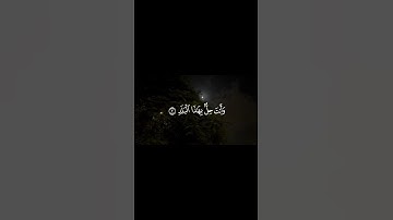 القارئ محمد الصادق المنشاوي سورة البلد #لايك #الوطن_العربي #القرآن_الكريم #الجزائر #اكسبلور #quran