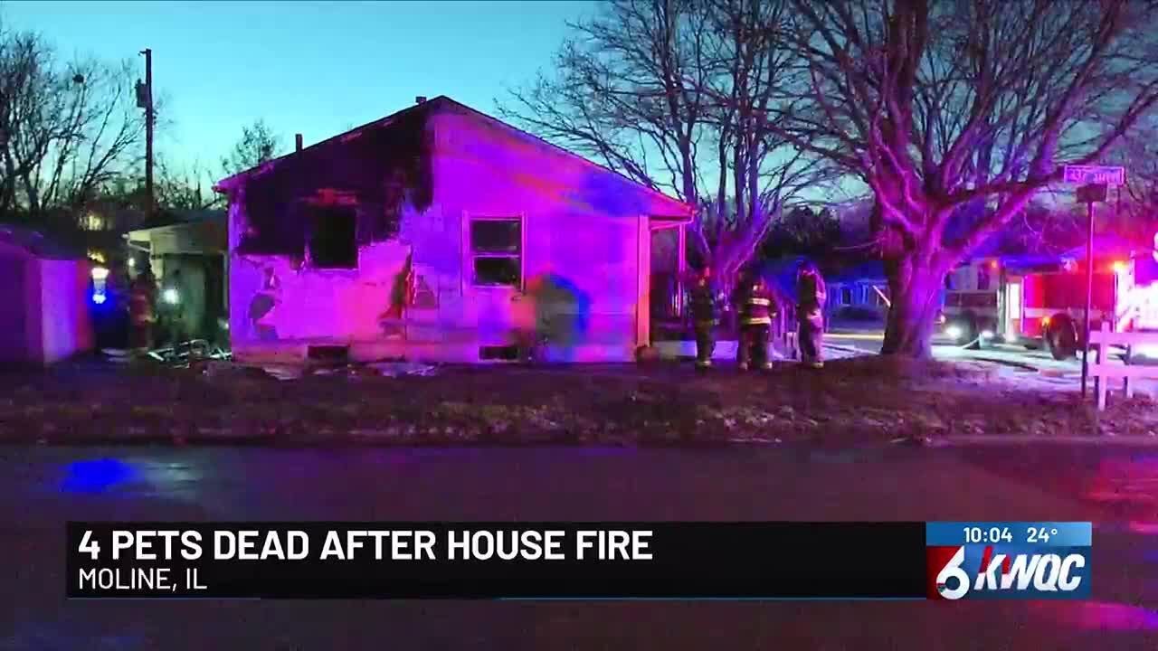 4 pets die in Moline house fire, officials say - YouTube