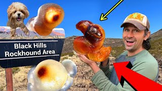 Rare Eyeball Agate Found at this FREE Dig Location! by The Crystal Collector 76,468 views 10 months ago 14 minutes, 20 seconds