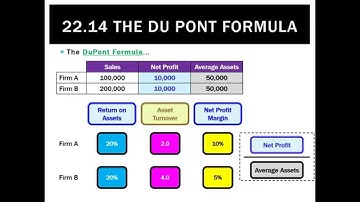 22.14 The Du Pont Formula