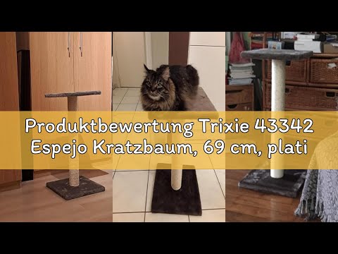 Produktbewertung Trixie 43342 Espejo Kratzbaum, 69 cm, platingrau