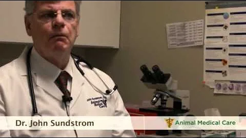 Dr. John Sundstrom - The importance of laboratory ...