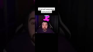 Стрей: усатый жировик #shorts #stray228 #dota2