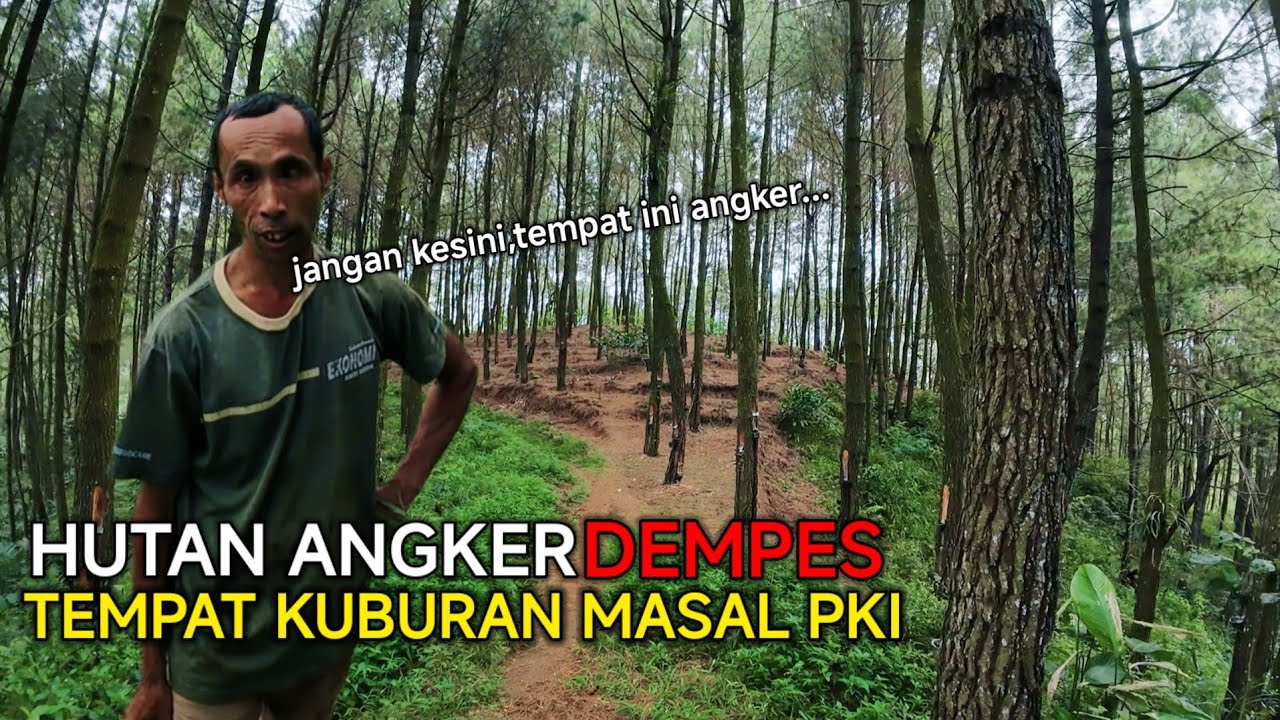 HUTAN ANGKER DEMPES WONOSOBO TEMPAT KUBURAN MASAL PKI