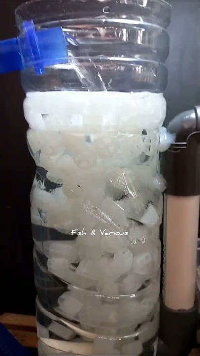 Aquarium top filter DIY | Fish tank filter DIY