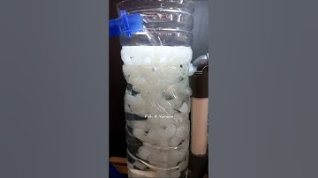 Aquarium top filter DIY | Fish tank filter DIY