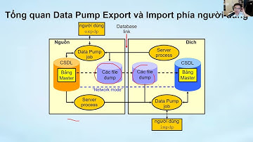 Buổi 16 - Chuyển dữ liệu | Trần Văn Bình Oracle Database Master