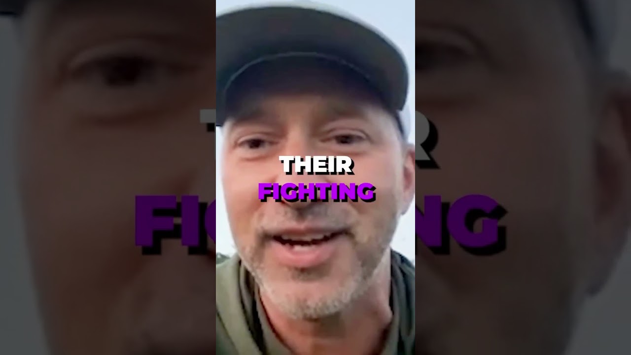 WWE Superstars That Should Join Misfits Boxing!