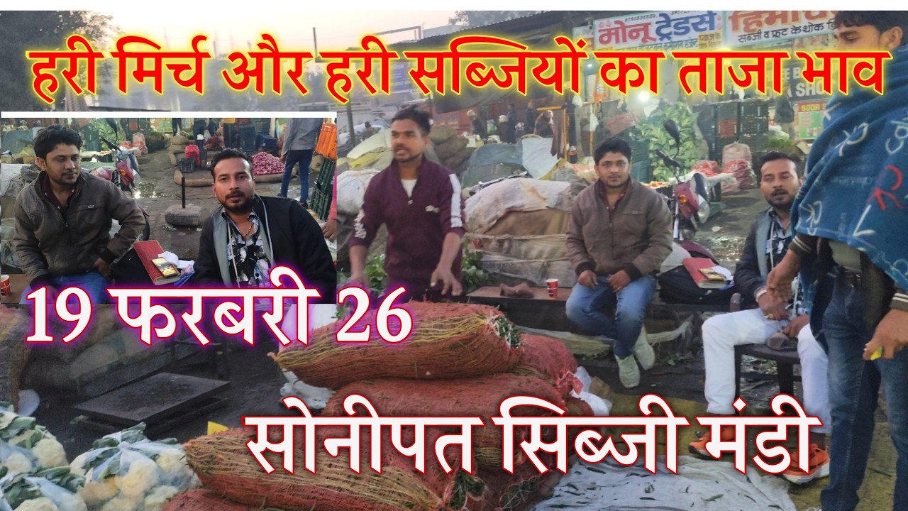 हरी मिर्च का होलसेल ताजा भाव सोनीपतसब्जी मंडी | हरी सब्जियों का ताजा भाव सोनीपत सब्जी मंडी