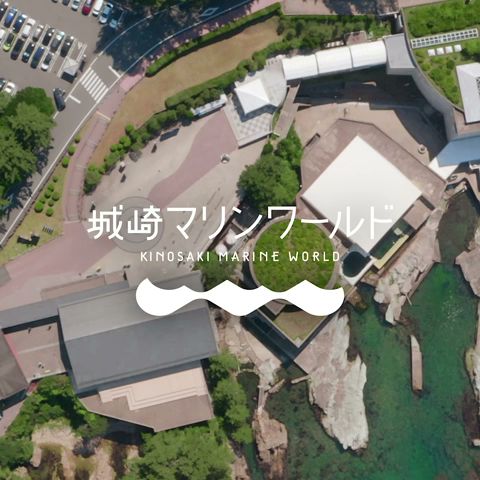 あなたと生きものたちを、つなげます。| 城崎マリンワールド RENEWAL OPEN #城崎マリンワールド #水族館