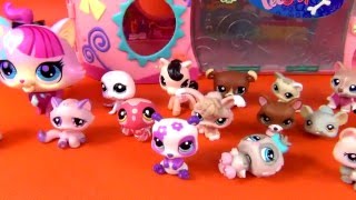 Littlest Pet Shop - Adoption Centre - LPS Toys - Cute Puppy!
