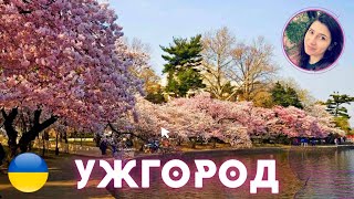 картинка: Ужгород. Увлекательная история и невероятные легенды