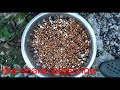 L A STIXX And Family Bringing You Corn Asham From Jamaica L A STIXX And Family Bringing You Corn Asham From Jamaica