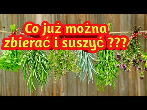 Wideo: Położenie ziem Antarktydy 400-800 lat temu