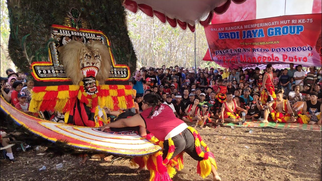 𝙈𝙀𝙉𝙀𝙂𝘼𝙉𝙂𝙆𝘼𝙉 !! 10 𝘔𝘌𝘕𝘐𝘛 𝘗𝘌𝘙𝘛𝘈𝘔𝘈 𝘋𝘈𝘋𝘈𝘒 𝘚𝘜𝘓𝘐𝘛 𝘋𝘐𝘛𝘈𝘒𝘏𝘓𝘜𝘒 𝘒𝘈𝘕 | 𝘌𝘳𝘥𝘪 𝘔𝘢𝘯𝘨𝘨𝘰𝘭𝘰 𝘗𝘶𝘵𝘳𝘰 𝘛𝘶𝘭𝘶𝘯𝘨 𝘚𝘢𝘮𝘱𝘶𝘯𝘨