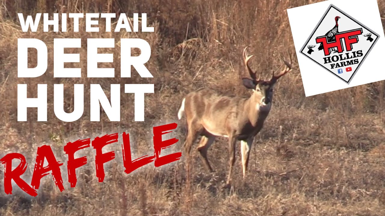 WHITETAIL DEER HUNT RAFFLE How It s Gonna Work YouTube whitetail-deer-hunt-raffle-how-it-s-gonna-work-youtube