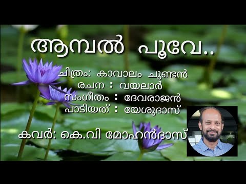 Aambal poove     K V Mohandas   Kavalam Chundan  Vayalar  Devarajan  Yesudas