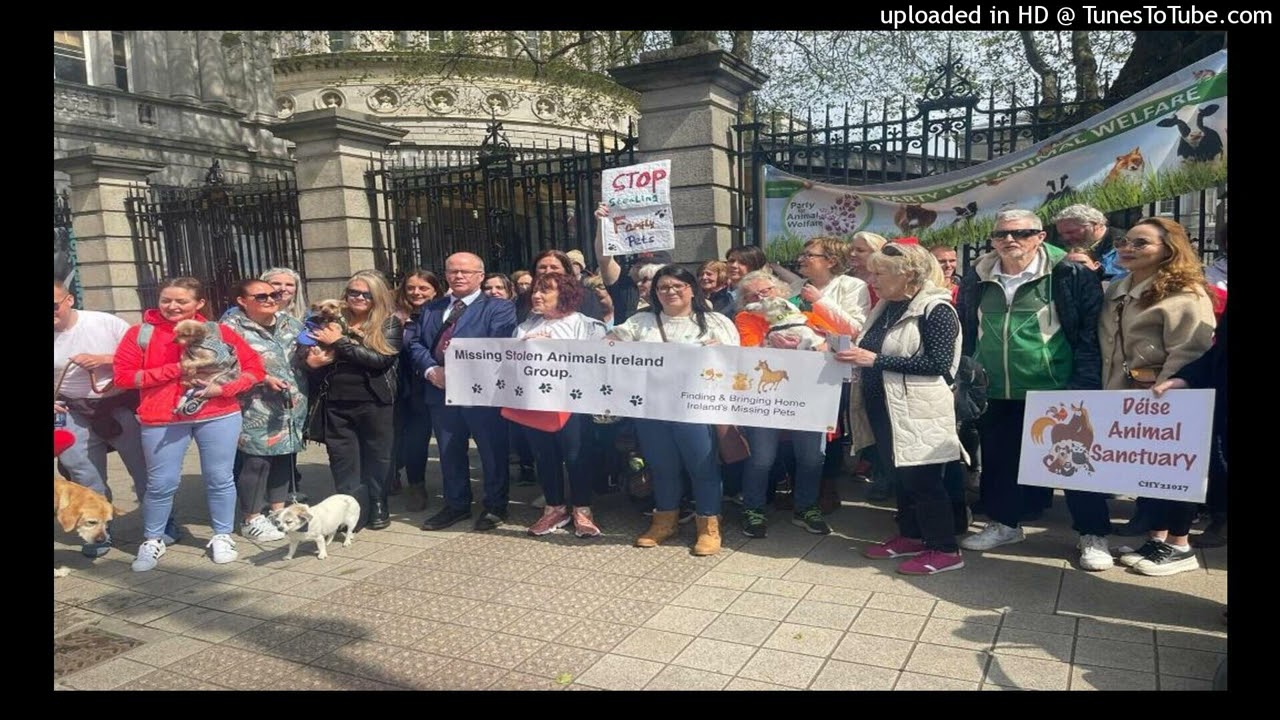 Meeting Inside Leinster House And Demo Outside The D il For Animal Meeting Inside Leinster House And Demo Outside The D il For Animal