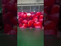 P2.9 7ft x 10ft led video wall, local stock in USA, welcome to inquire and pick up #leddisplay