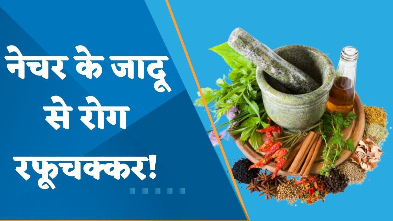 Aapki Khabar Aapka Fayda: Consumption of green leafy vegetables is a ...