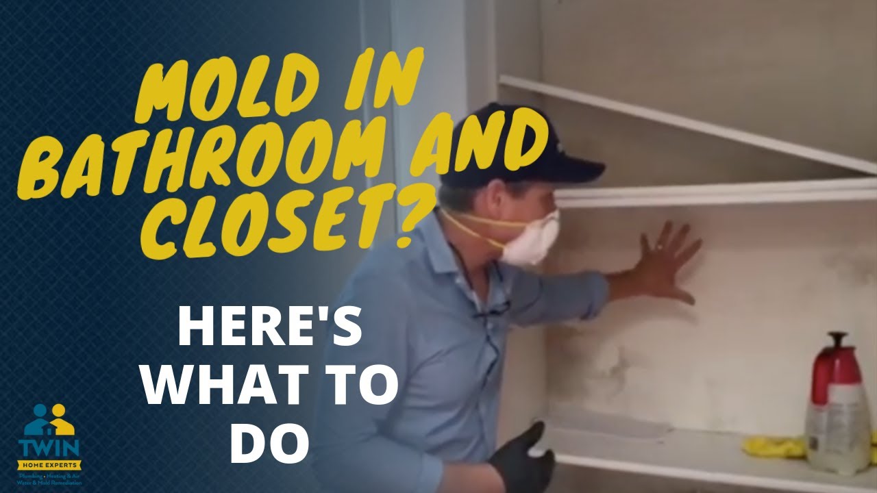 Easy Steps to Remove And Prevent Mold In Your Bathroom/Closet