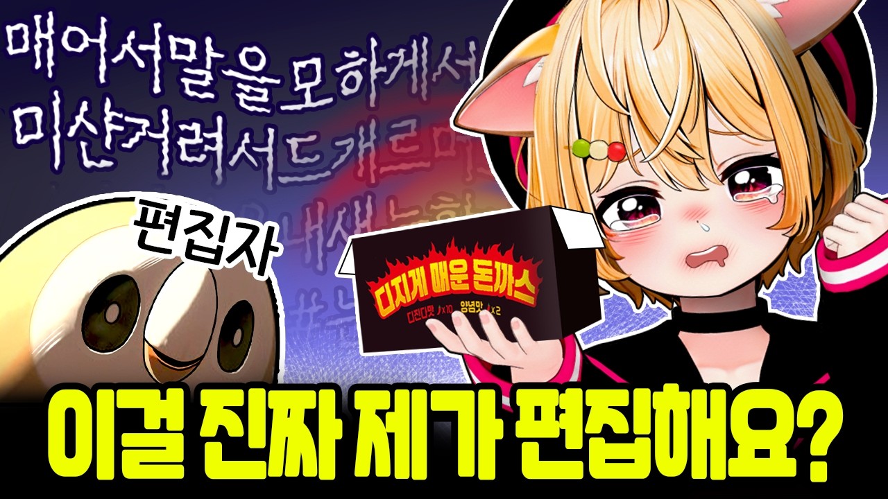 디진다 돈까스 먹어보았습니다..