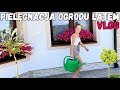 Letnia pielęgnacja ogrodu – jak dbamy o rośliny? | VLOG #ogród #pielęgnacjaroślin #garden