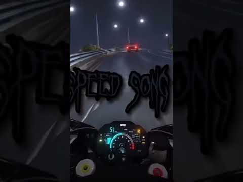 عمري ما قلت حبيبي لحبيبي معقول حماقي