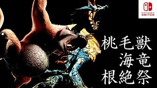 【MHXXNS実況】桃毛獣「ババコンガ」根絶祭【モンハンダブルクロス スイッチ Ver】
