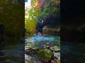 Nothing better than a swim in a gorgeous cold river hidden in Paphos