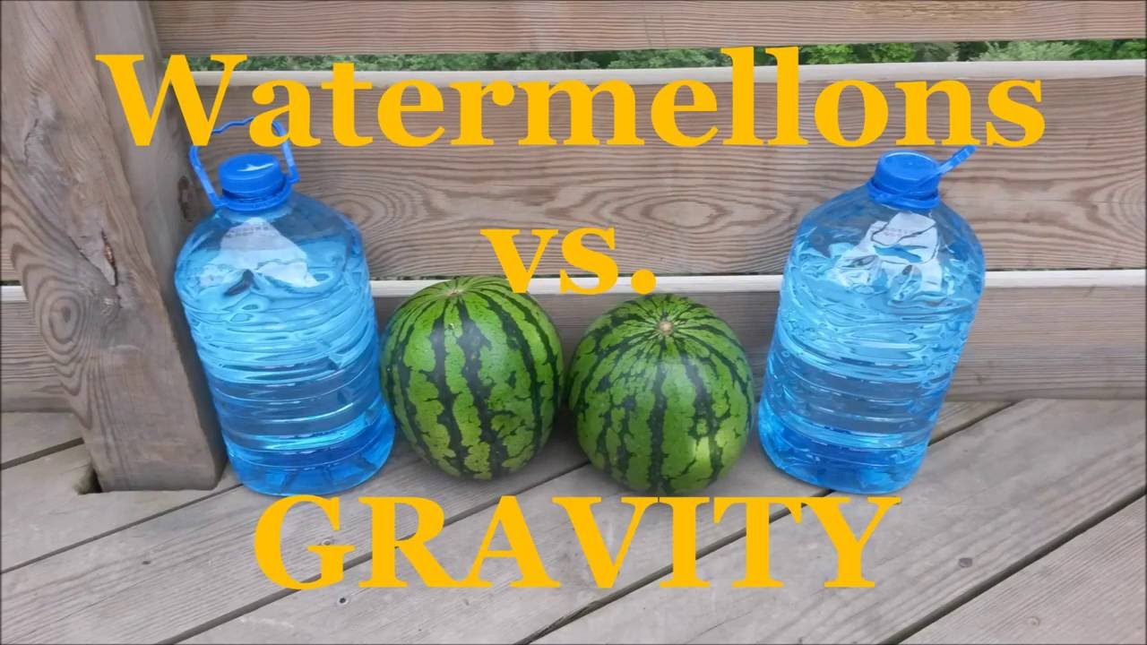 Drop test Watermelons 32 meter free fall YouTube