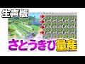 孤島で暮らすマインクラフト Part6【Minecraft】【生声】