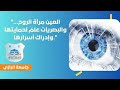 العين مرآة الروح وقسم البصريات وعلوم الرؤية علم لحمايتها تعرف على القسم في جامعة الرازي