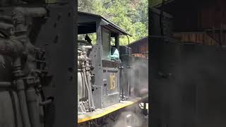 Yosemite Mountain Sugar Pine Railroad near Yosemite National Park #trainride #travel #vacation