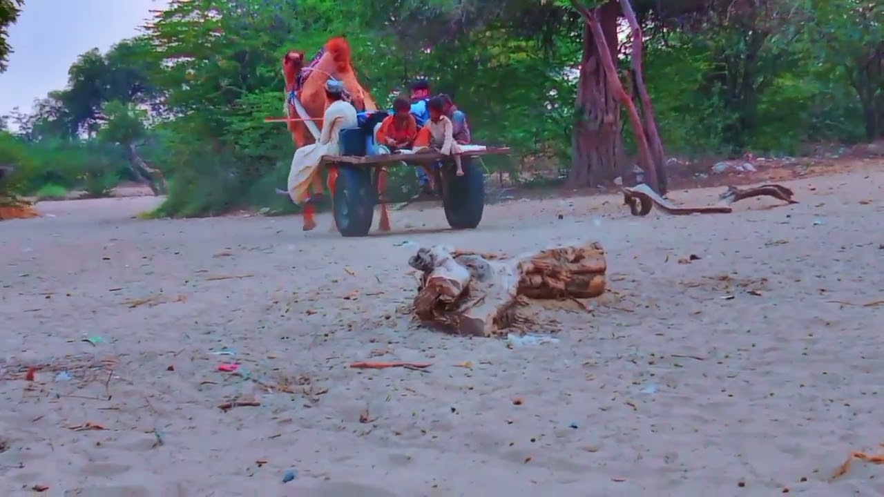 Camel cart is  Carrying heavy load, often use the work of farming, wood carrying.