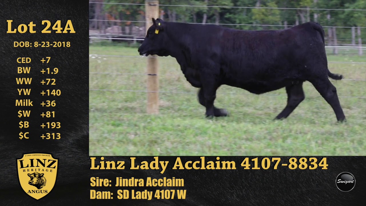 video phone lyrics Linz Lot 24A - Linz Lady Acclaim 4107-8834