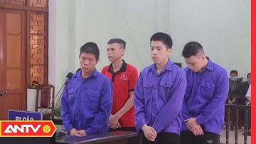 Nhóm Đối Tượng Tổ Chức Cho Người Khác Nhập Cảnh Trái Phép Lĩnh Án 27 Năm Tù Giam | ANTV