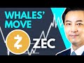 ZEC Price Wyckoff Analysis : What Are Whales Doing?