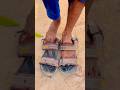 شباشبك المفضلة