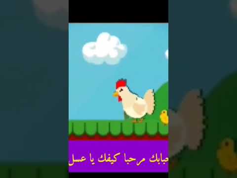 اصوات الحيوانات قناة طيور الجنة كراميش تغاريد