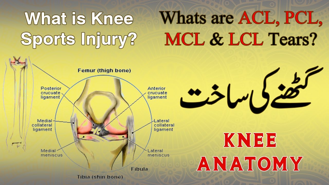 Arthroscopy of Knee Sports Injury ? | What are ACL, PCL, MCL & LCL ...