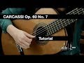 Elite Guitarist - Carcassi's Etude No. 7 - Tutorial Pt. 1 taught by Ines Thome on a GV Rubio