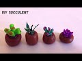 Clay Succulents /Cold porcelain clay Succulents