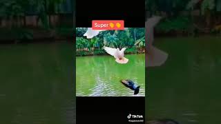 Allahım Bu Gunumuzede Sukurlerallahim Her Zaman Bizi Qoru.sesim Ucalardan Gelsin