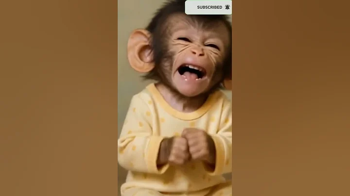 Can’t stop laughing at this monkey laugh ! 😂😂  #monkey #funny