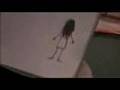 Scary movie 3 the ring flipbook
