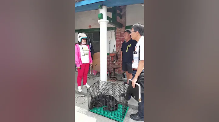 徐文良園長 : 狗是這樣養的嗎？還說要賣給狗肉店？？【9/22直播完整版本】 - 天天要聞