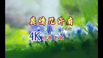 经典老歌《真情几许有》车继铃 4K超高清美景