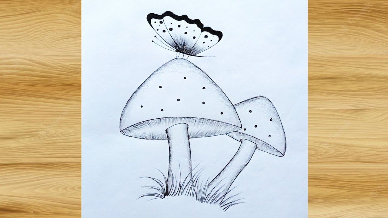 toadstool butterfly pencil  Pencil drawings for beginners